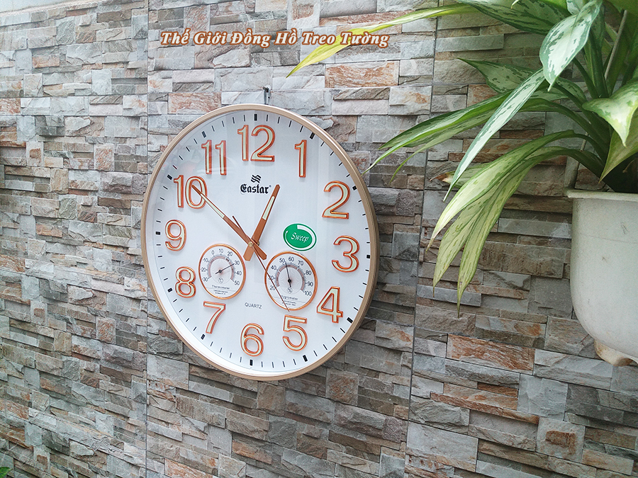 Đồng Hồ EASTAR Mặt Tròn có DẠ QUANG và Đồng hồ CƠ Đo NHIỆT ĐỘ & ĐỘ ẨM - Máy KIM TRÔI - Tặng Pin Maxell