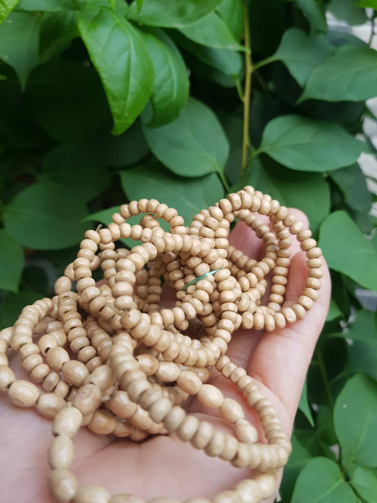 Vòng dâu tằm cho bé sơ sinh vòng cho cả bé trai và bé gái Ông bà xưa cho bé đeo vòng dâu tằm tốt, giúp cho bé ngủ không bị giật mình, bụ bẩm ngoan ạ