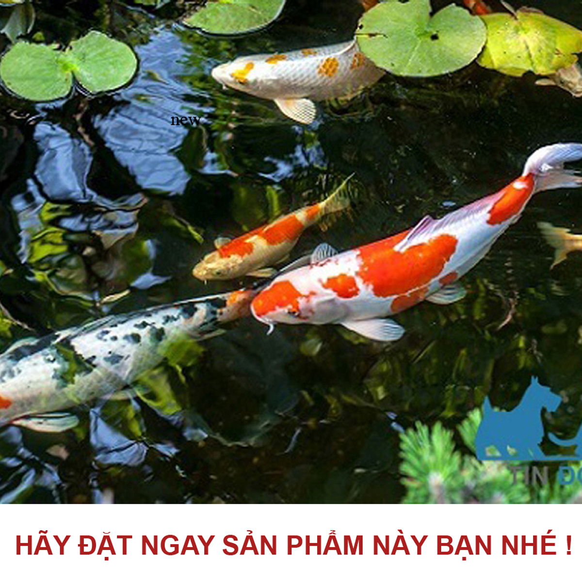 Máy bơm HA12000 ( 85W - 12000L/H) lõi trục gốm, 9 nấc chỉnh nước dùng cho bể cá, hồ cá, hòn non bộ, sinh hoạt - Máy bơm chìm cao cấp