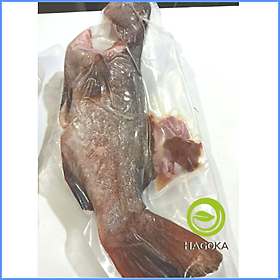 [Chỉ giao HCM] 500gr CÁ MÚ SAO (1 con từ 800gr-1,5kg)