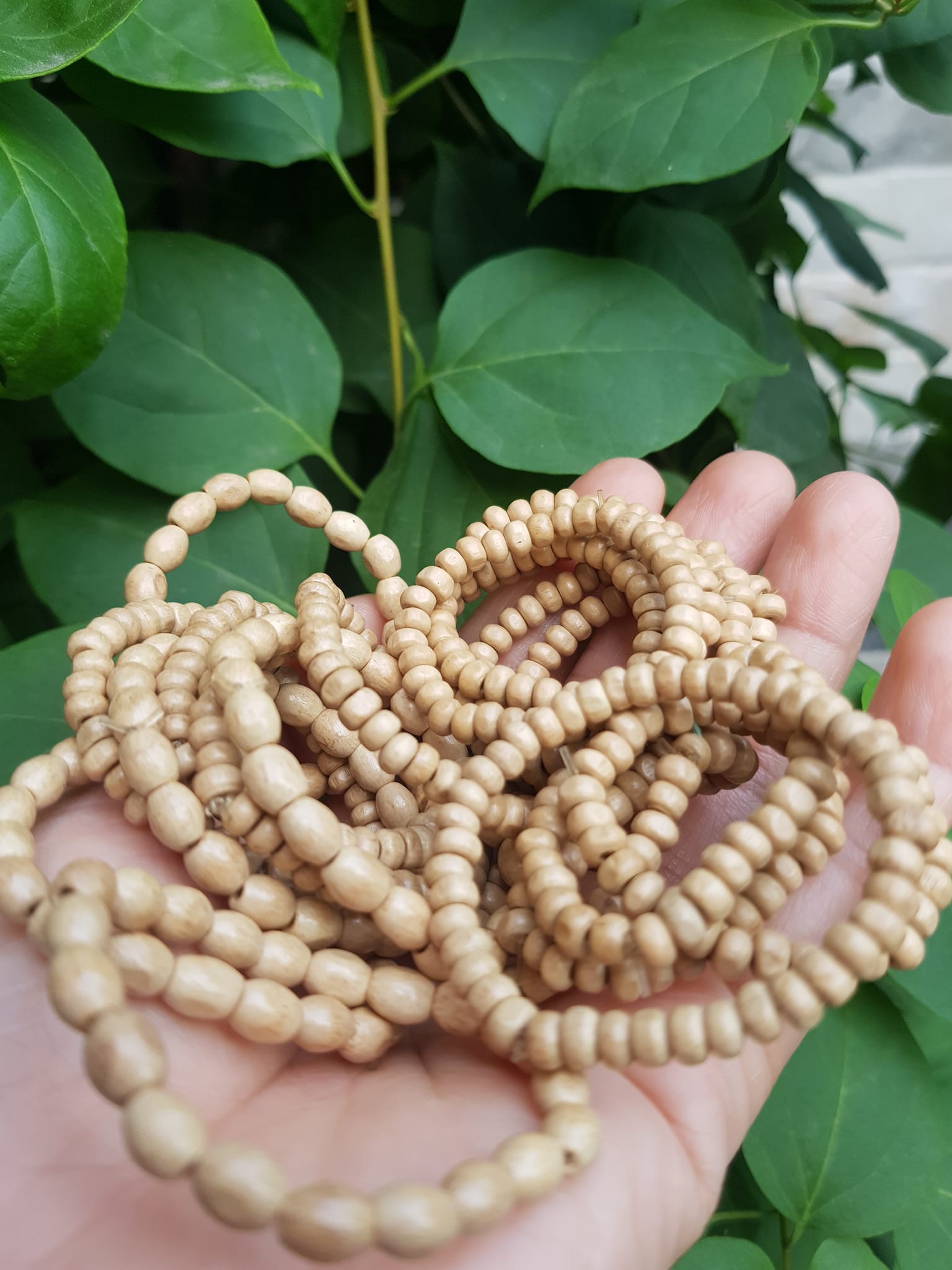 Vòng dâu tằm cho bé sơ sinh vòng cho cả bé trai và bé gái Ông bà xưa cho bé đeo vòng dâu tằm tốt, giúp cho bé ngủ không bị giật mình, bụ bẩm ngoan ạ