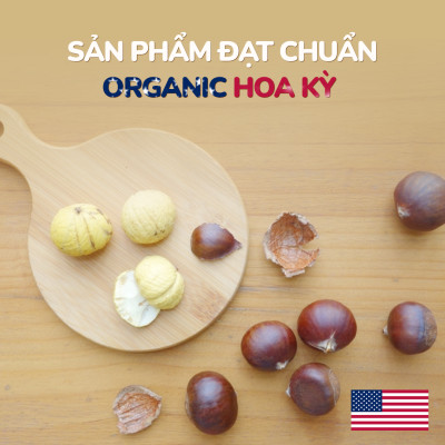 COMBO2 TÚI HẠT DẺ TÁCH VỎ ORGANIC 100GR DAN D PAK KHÔNG CHẤT BẢO QUẢN, NGUYÊN LIỆU HỮU CƠ 100%