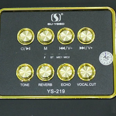 Loa Bluetooth Karaoke Sothing YS-219 Kèm 2 Micro Có Quai Xách Du Lịch- Hàng chính hãng