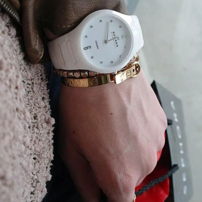 Đồng hồ nữ SKAGEN 817SSXC