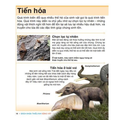 Sách - Tri Thức Trong Lòng Bàn Tay - Bách Khoa Thiếu Nhi Động Vật - Minh Thắng