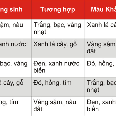 Dây Chuyền Đá Phong Thủy Hổ phách (Amber) Thiên Nhiên Mix Charm Bạc 925 DC002