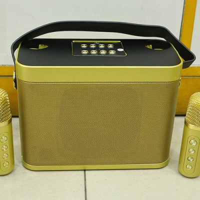 Loa Bluetooth Karaoke Sothing YS-219 Kèm 2 Micro Có Quai Xách Du Lịch- Hàng chính hãng
