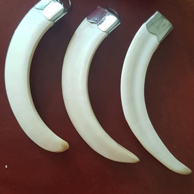 Mặt dây chuyền Nam Nanh Giả Ngà trơn hay gọi Xương mỹ nghệ trơn Mặt dây màu trắng trơn đã bọc khoen inox dài 98mm x ngang 12mm Nam đeo với sợi dây chuyền của mình đẹp ạ