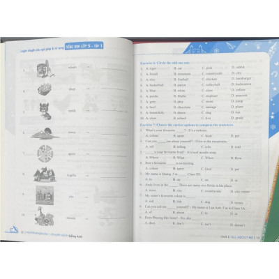 Sách - Global Success Luyện Chuyên Sâu Ngữ Pháp Và Từ Vựng Tiếng Anh Lớp 5 - Tập 1 - Minh Thắng