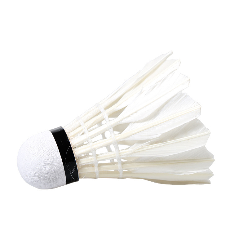 Hộp 12 quả cầu lông AOLIKES S30012C