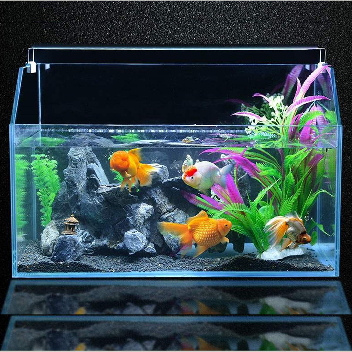 Đèn LED bể cá 20-30cm XML-20 Ánh Sáng Trắng cao cấp