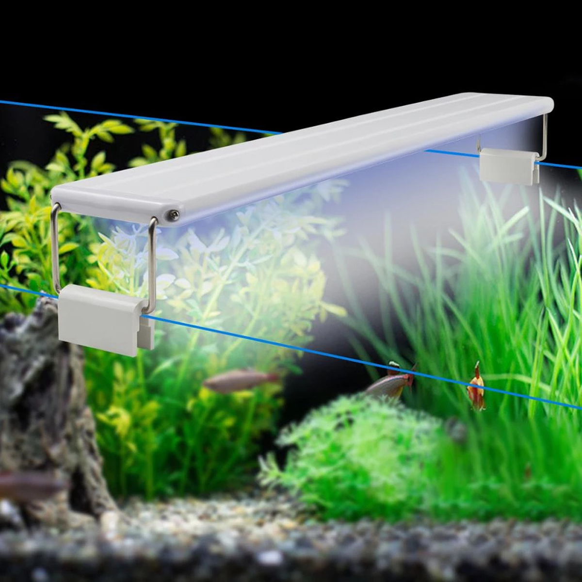 Đèn LED bể cá 20-30cm XML-20 Ánh Sáng Trắng cao cấp