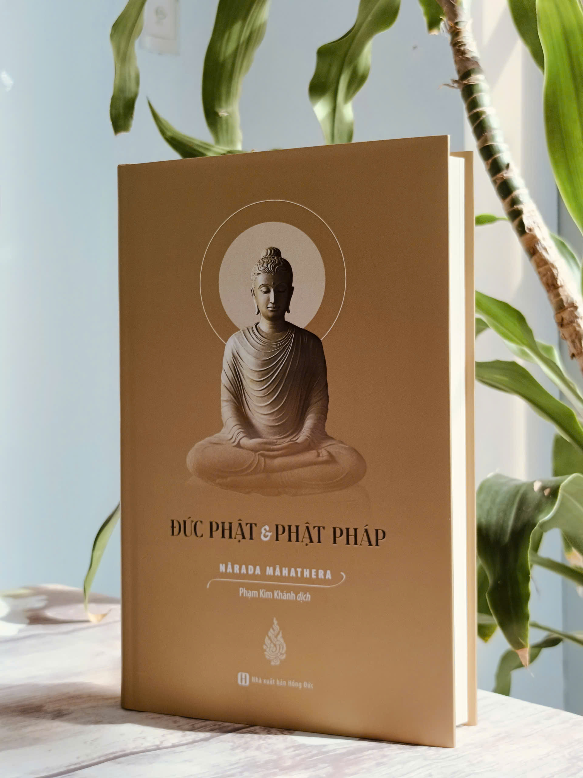 Đức Phật và Phật Pháp (bìa cứng)