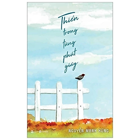 Thiền Trong Từng Phút Giây - Nguyễn Mạnh Hùng - NXB Lao Động