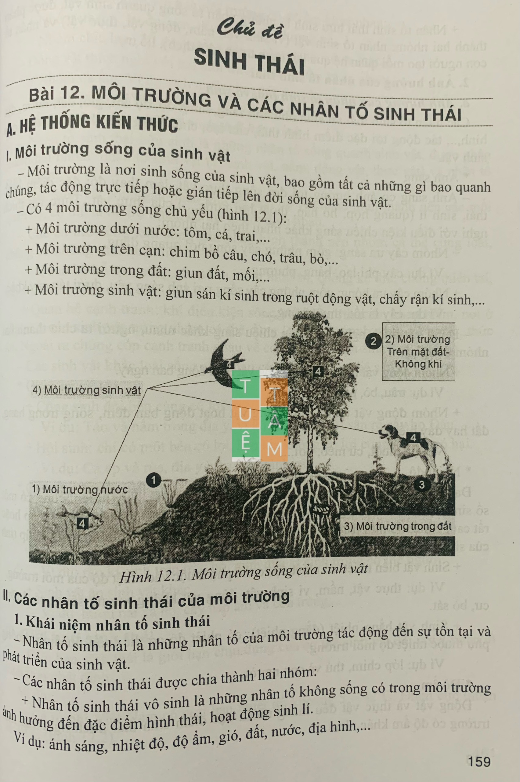 Sách - Bồi dưỡng học sinh giỏi Sinh học 8