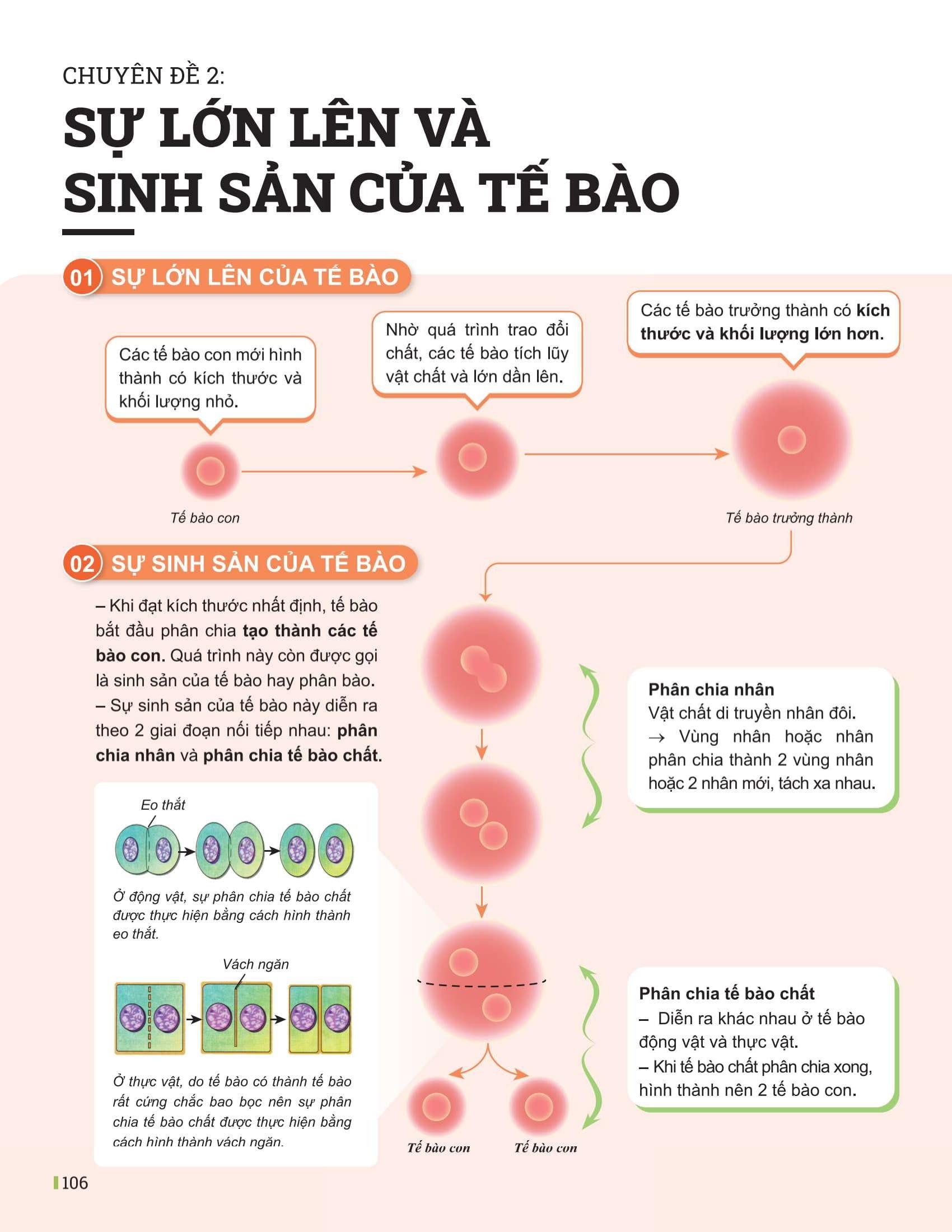 Sách - Đột Phá Tư Duy Khoa Học Tự Nhiên 6 - Tập 1
