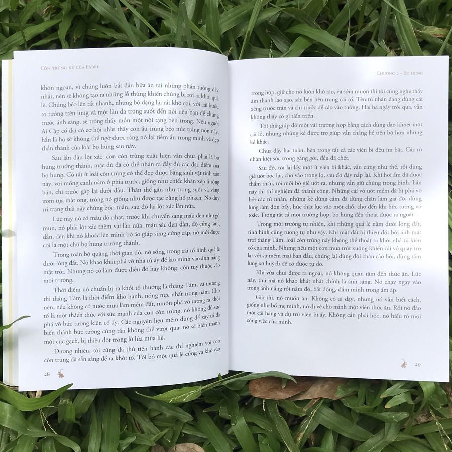 Côn Trùng Ký Của Fabre