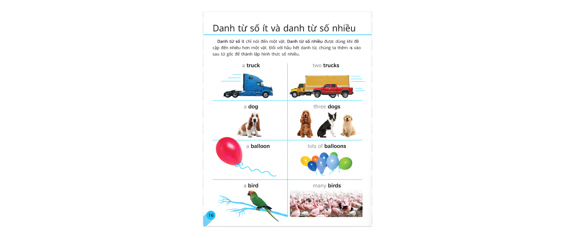 Sách Tham Khảo Trực Quan Về Ngữ Pháp Và Dấu Câu