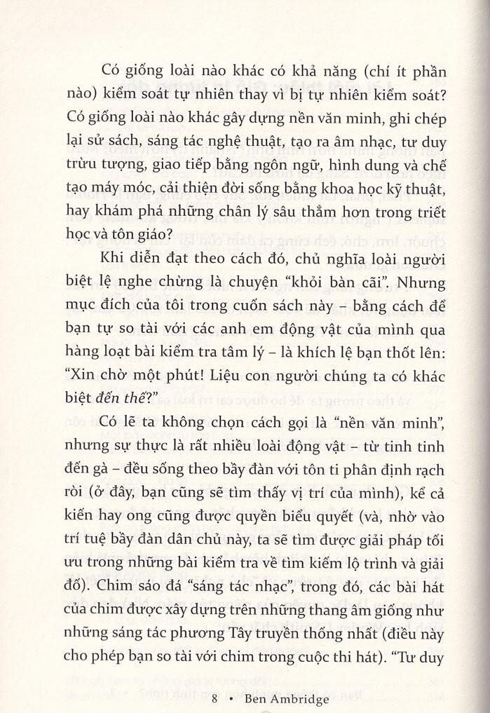 Bạn Có Thông Minh Hơn Con Tinh Tinh