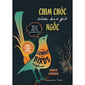 Chim Chóc Chưa Bao Giờ Ngốc (Giải Mã Bộ Não Thiên Tài Của Loài Chim)