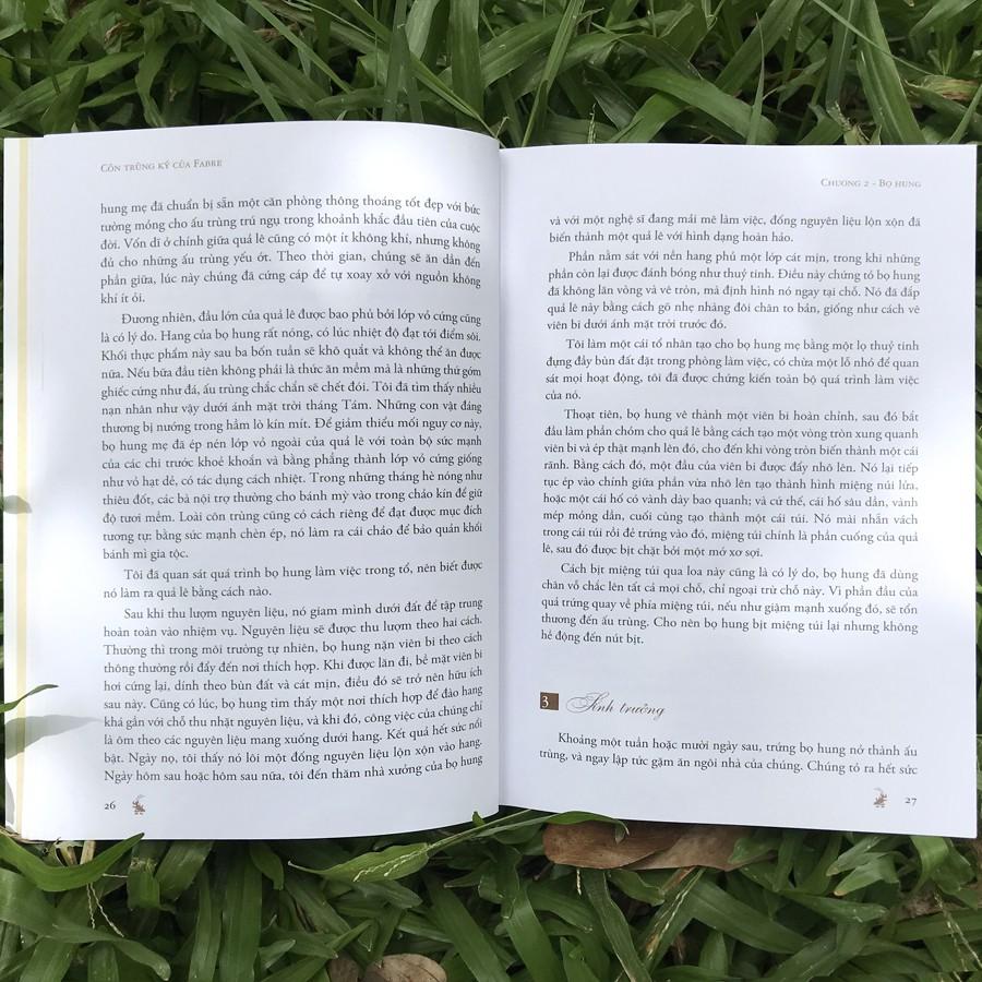 Côn Trùng Ký Của Fabre