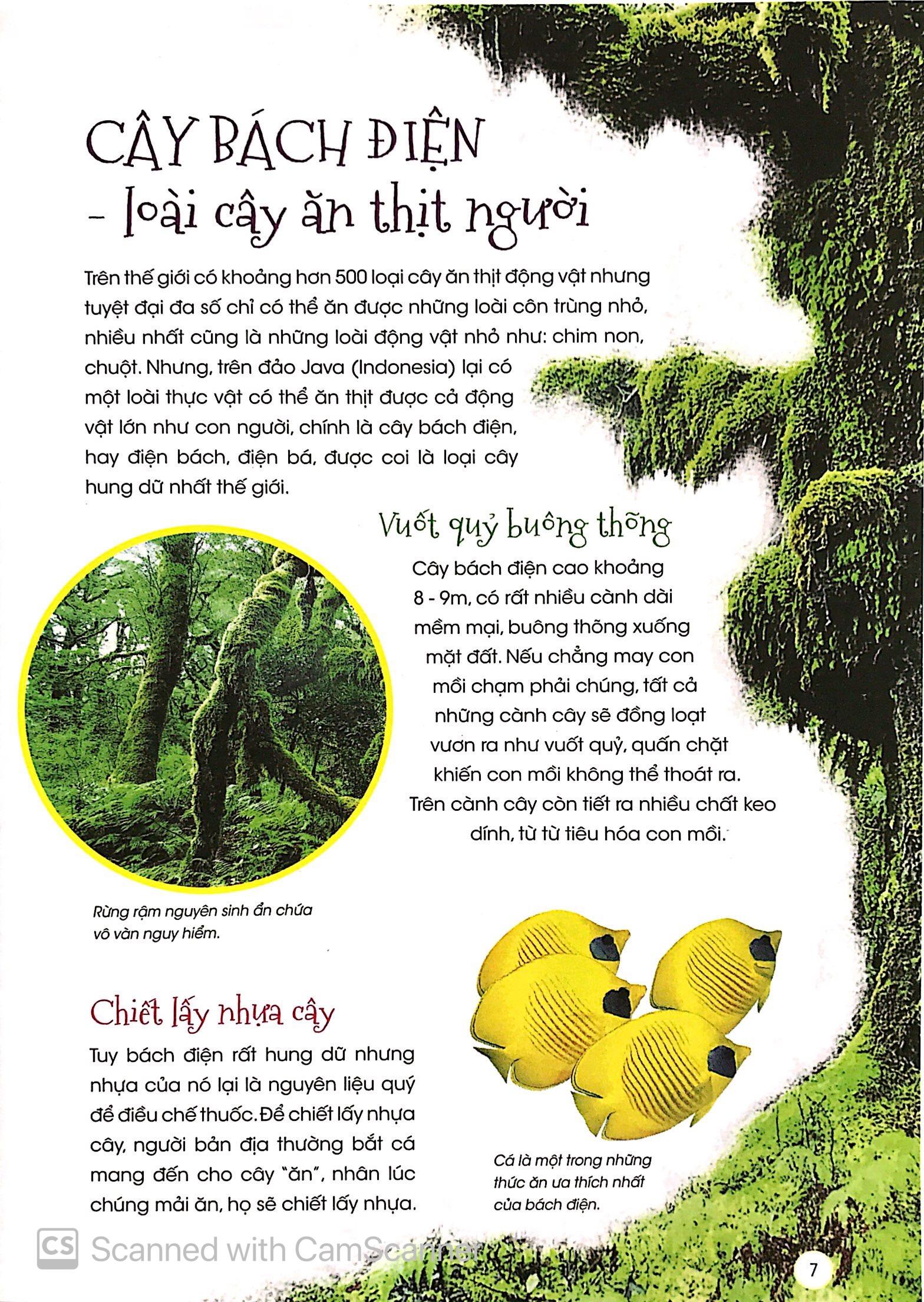 Thực Vật Thần Kỳ