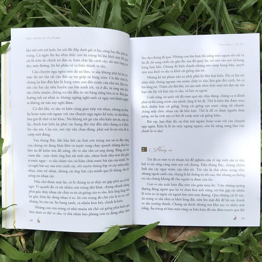 Côn Trùng Ký Của Fabre