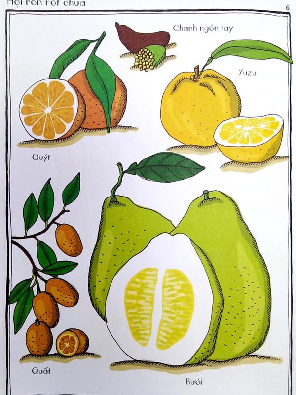 Sách - Bách khoa thư dành cho mọi lứa tuổi - Vườn bách thảo bằng tranh (Bìa cứng) (Nhã Nam HCM)