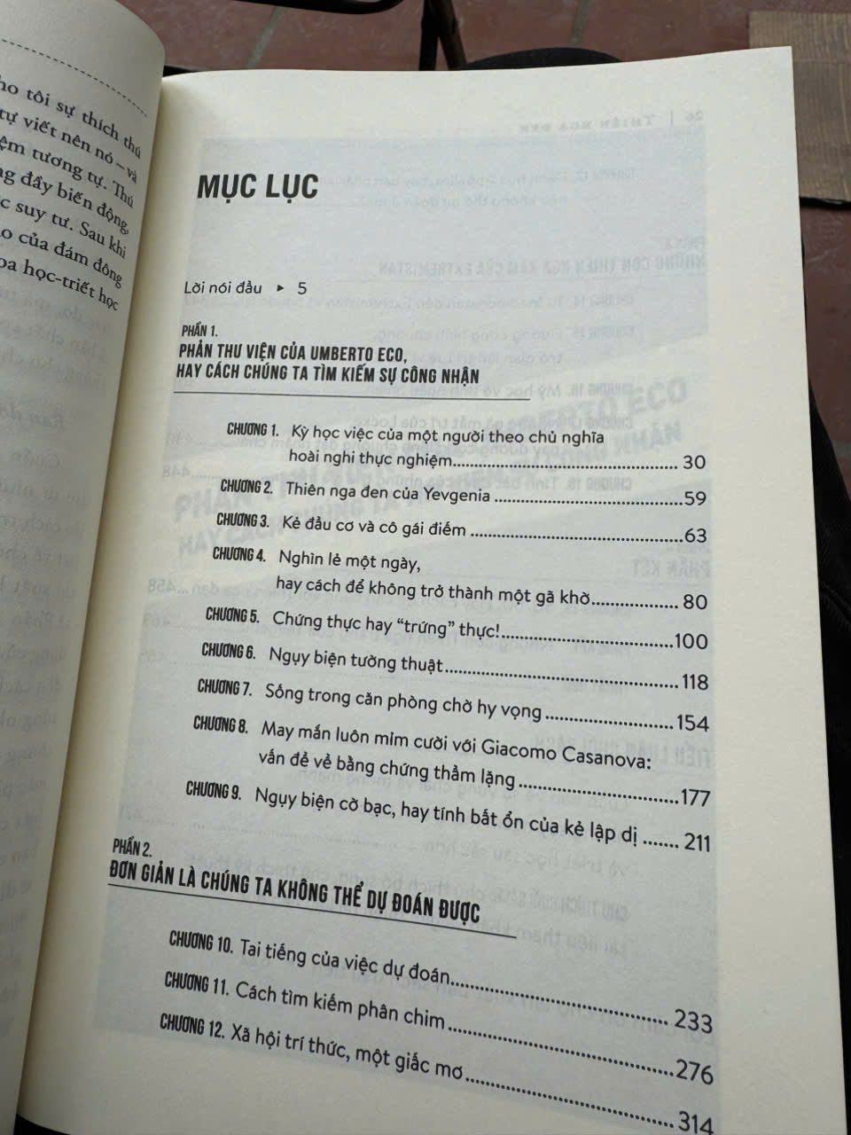 THIÊN NGA ĐEN - XÁC SUẤT CỰC NHỎ, TÁC ĐỘNG CỰC LỚN – Nassim Nicholas Taleb – Cam Thảo, Hoàng Trung dịch - Alphabooks – NXB Thế Giới