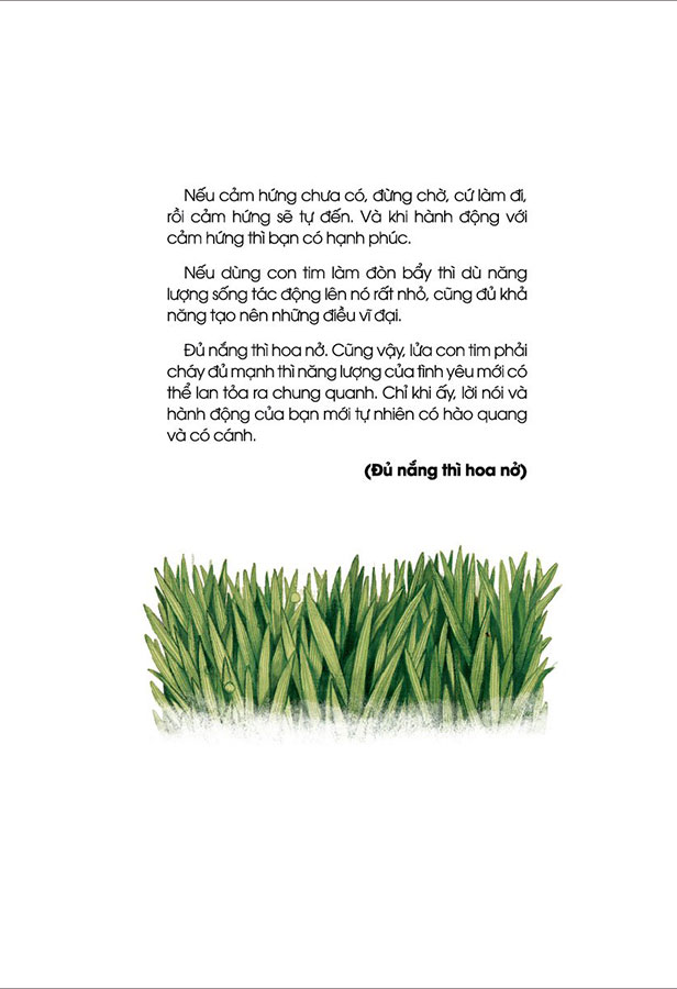 : Đủ Nắng Thì Hoa Nở (Tái Bản Lần 4 - Phương Nam)