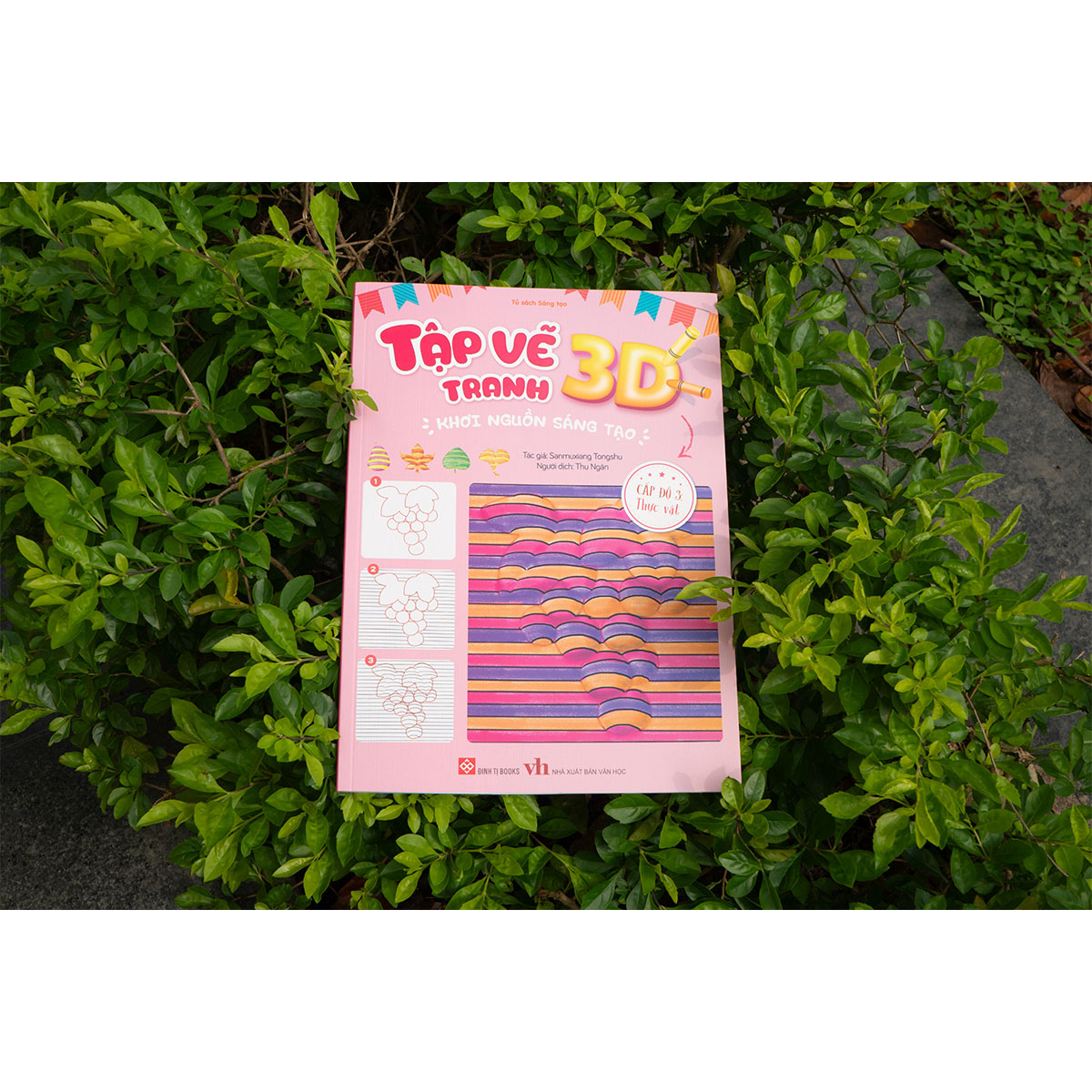 Tập vẽ tranh 3D, khơi nguồn sáng tạo - Cấp độ 3: Thực vật